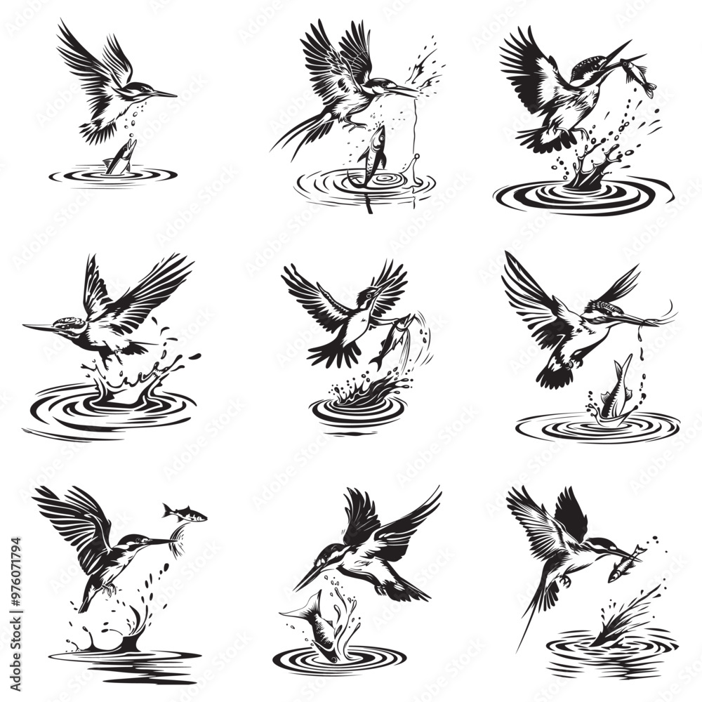 Fototapeta premium River Kingfisher Clipart Silhouette - Common Kingfisher Catching a fish Silhouette illustration in a White Background