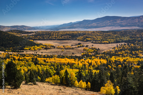Autumn Splendor in Angel Fire, New Mexico