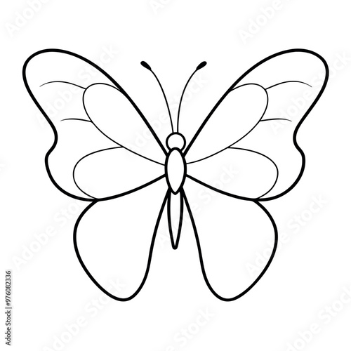 Wallpaper Mural     Butterfly vector illustration.
 Torontodigital.ca
