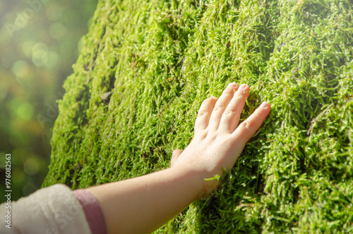 Little girl's hand touches the tree. Moss. Caring for the environment. The ecology concept of saving the world,