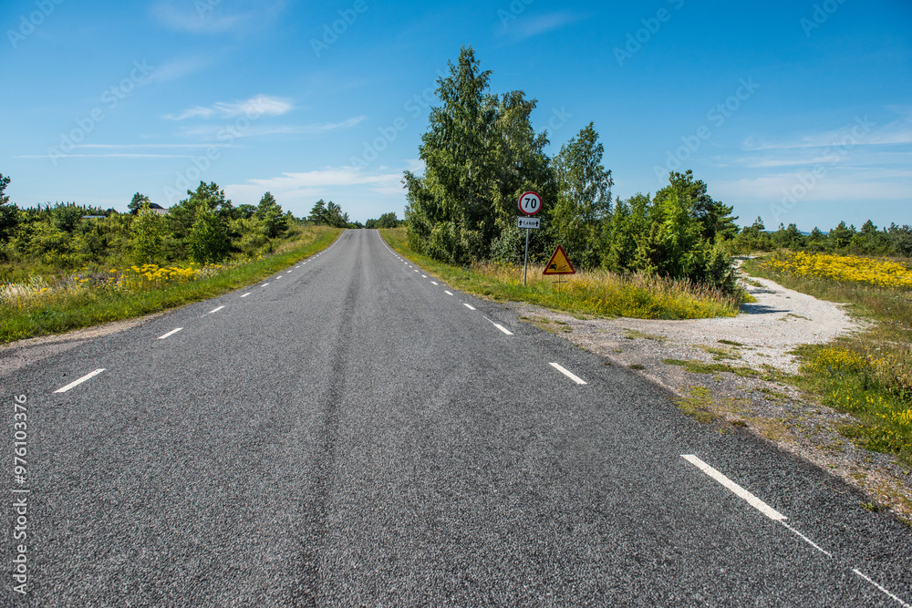 Fototapeta premium Road across the country, island Saaremaa, Estonia