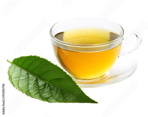 Cup of Green Tea With Leaf Isolated on Transparent Background