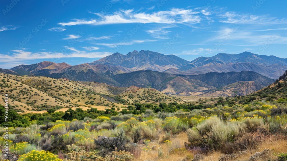 A scenic shot of the California Mountains with diverse landscapes and clear skies A scenic shot of the California Mountains with diverse landscapes and clear skies