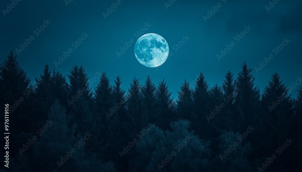 Captivating nighttime forest under a bright full moon a serene ...