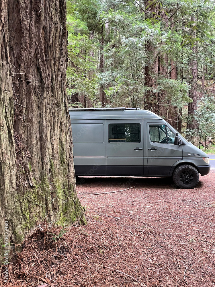 Camper van parked in a redwood forest living vanlife Camper van parked in a redwood forest living vanlife