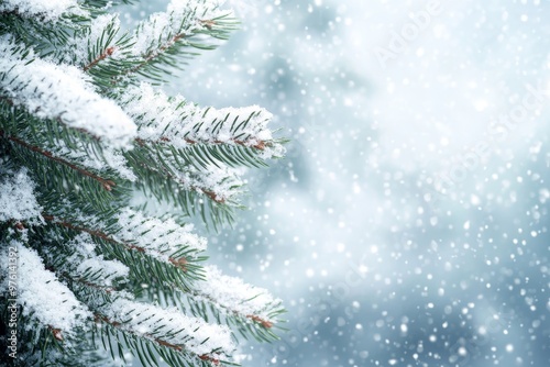 Stunning snow laden christmas tree branches with blurred snowfall and space for custom text