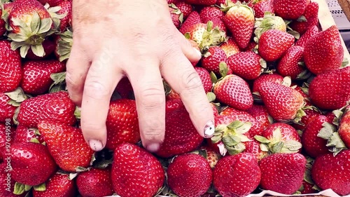 video de Compra de fresas 