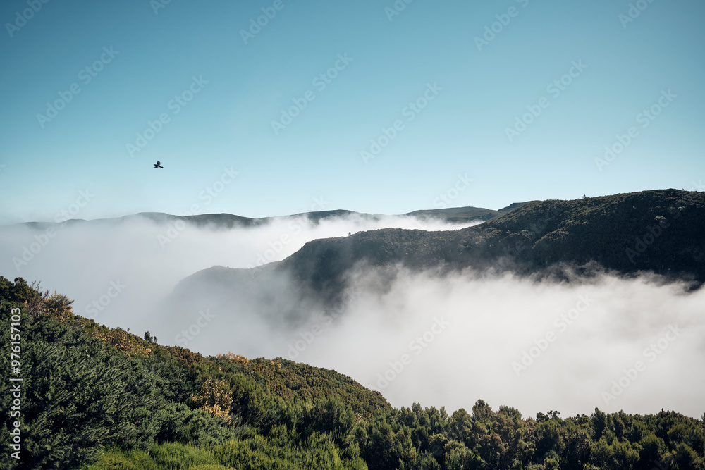 Fototapeta premium Montagne che sbucano dalle nubi nell'isola di Madeira