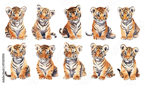 Tiger Cub in Various Playful and Cute Poses Active Resting Curious Watercolor Illustrations For Childrens Book