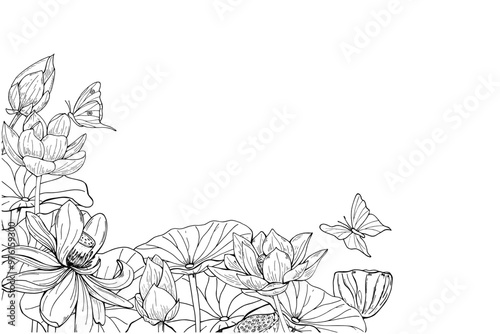 Blooming monochrome water lily and flying butterflies horizontal frame. Flowers bouquet vector hand drawn illustration by black inks. Floral composition with empty space for text for greetings