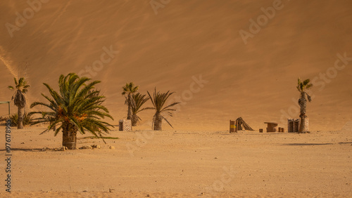 Fototapeta Naklejka Na Ścianę i Meble -  Sand Dunes in Namibia, Southern Africa