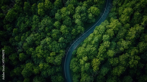 Aerial View of a Winding Road Through a Lush Forest