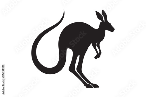 kangaroo vector silhouette  and illustration