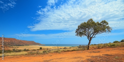 A lone tree stands in a field of dry grass and rocks. The sky is clear and blue, and the sun is shining brightly. The scene is peaceful and serene, with the tree providing a sense of calm