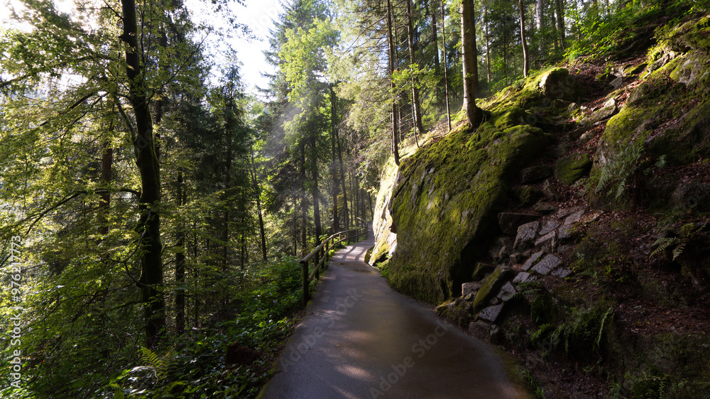 Obraz premium Wald - Wasserfälle