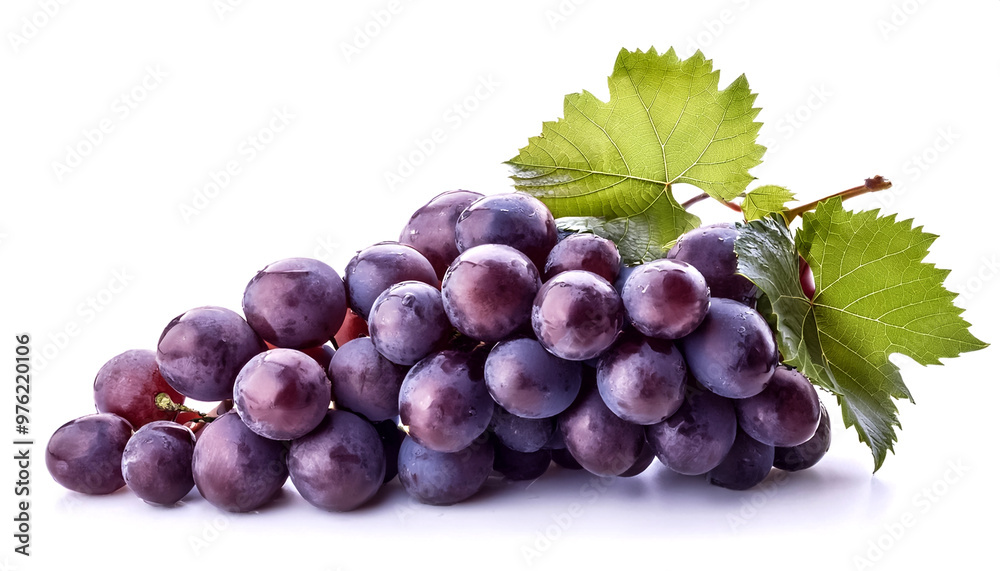 bunch of grapes isolated on white background bunch of grapes isolated on white background