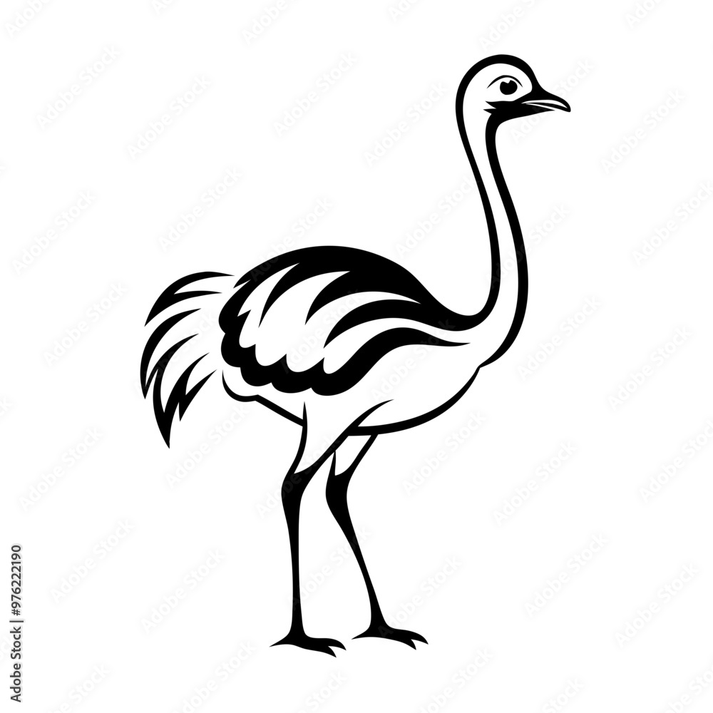 Ostrich Vector Illustration in Black and White Ostrich Vector Illustration in Black and White
