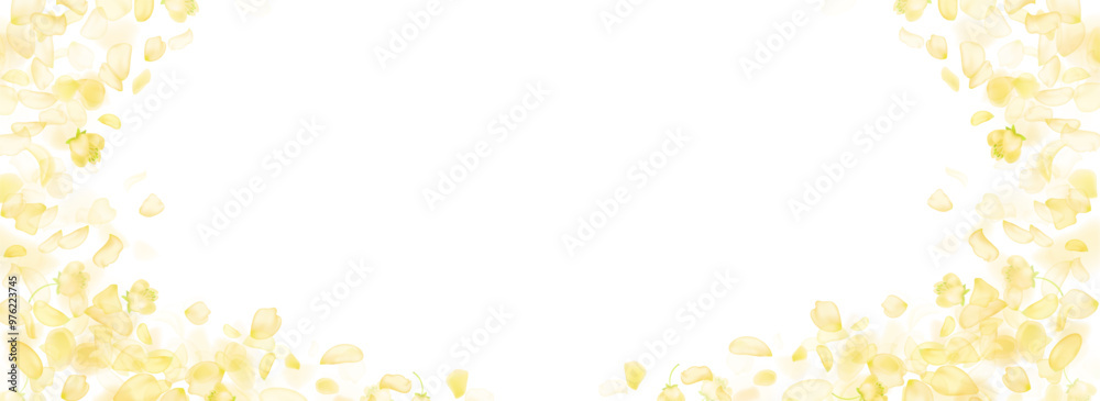 Yellow falling rose or sunflowers petals.Transparent panoramic horizontal background.Amber flower spring template.