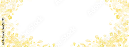 Yellow falling rose or sunflowers petals.Transparent panoramic horizontal background.Amber flower spring template.