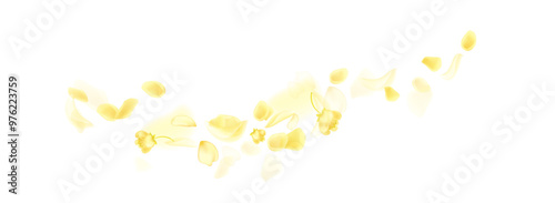 Yellow falling rose or sunflowers petals.Transparent panoramic horizontal background.Amber flower spring template.