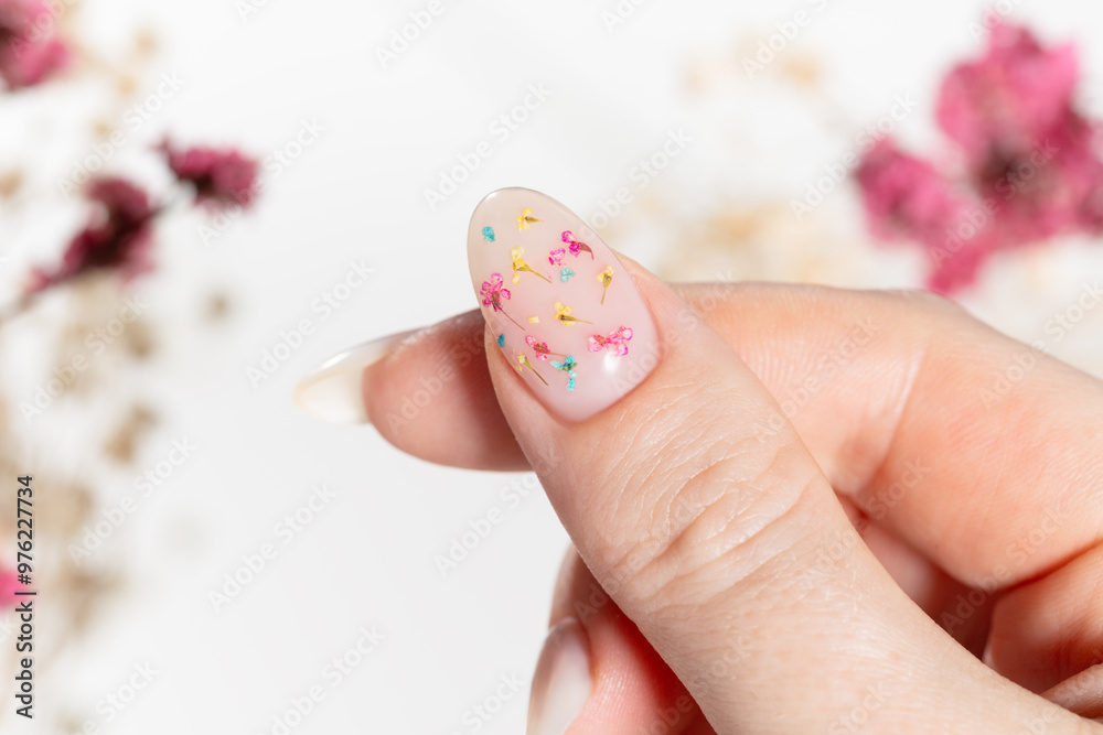 Spring manicure of women's hands with white gel polish and dried flower design. Female hands and dried gypsophila flowers bleached on a white background. Spring manicure of women's hands with white gel polish and dried flower design. Female hands and dried gypsophila flowers bleached on a white background.