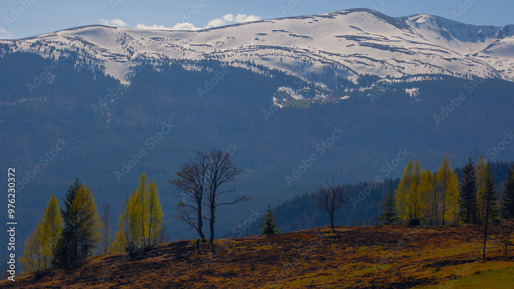 Obraz premium Early spring in Carpathian mountains, Svydovets mountain ridge.
