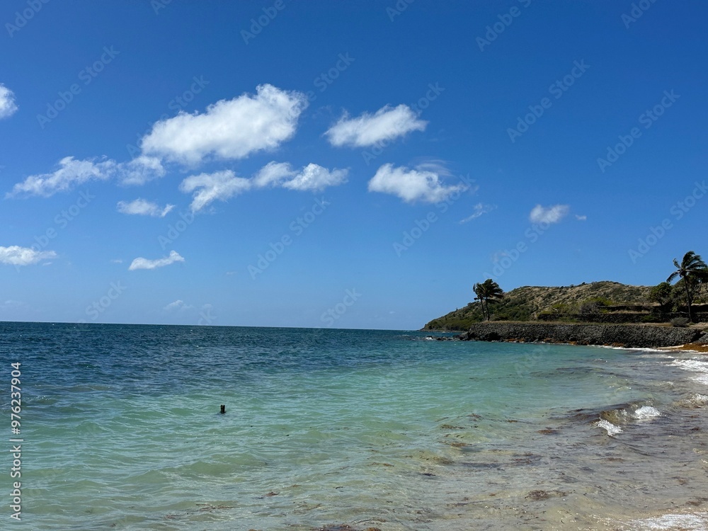 Fototapeta premium beach