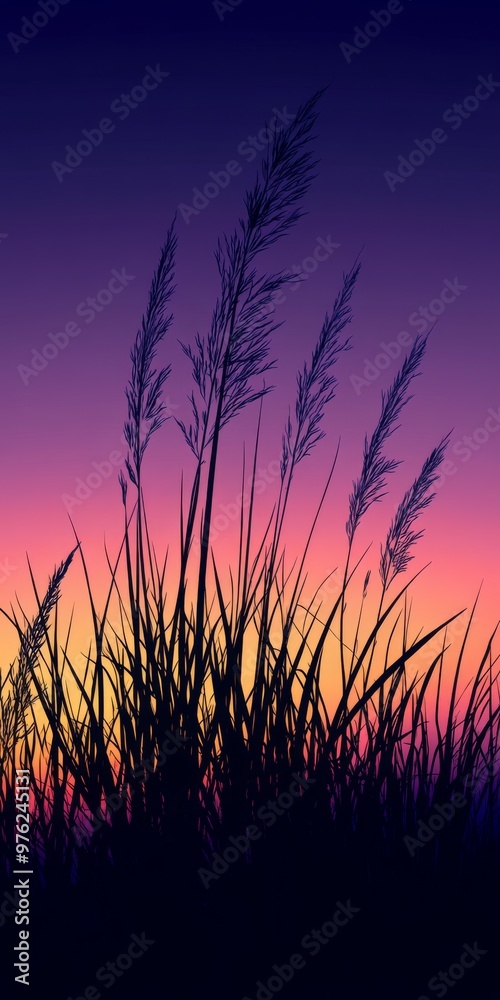 Silhouette of Tall Grass Against a Vibrant Sunset Sky in a Tranquil Outdoor Setting Silhouette of Tall Grass Against a Vibrant Sunset Sky in a Tranquil Outdoor Setting