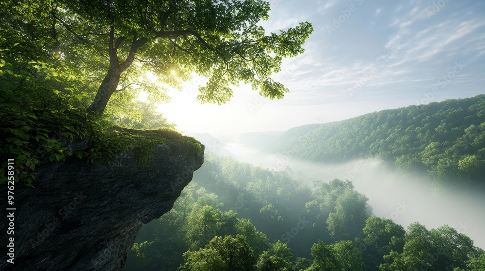 Obraz premium Whispers in the Leaves: Capture the mysterious whispers heard among the trees on a cliff.