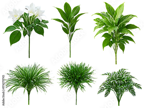 Set_of_plants,_isolated_on_a_white_background,_ideal_for_nature_or_floral_designs.