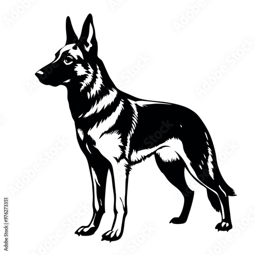 a German Shepherd dog. The dog is standing on all fours and is facing towards the left side of the image. It has a long, slender body with a pointed head and pointed ears