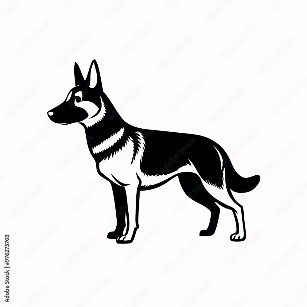 a German Shepherd dog. The dog is standing on all fours and is facing towards the left side of the image. It has a long, slender body with a pointed head and pointed ears a German Shepherd dog. The dog is standing on all fours and is facing towards the left side of the image. It has a long, slender body with a pointed head and pointed ears