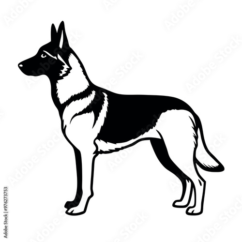 a German Shepherd dog. The dog is standing on all fours and is facing towards the left side of the image. It has a long, slender body with a pointed head and pointed ears