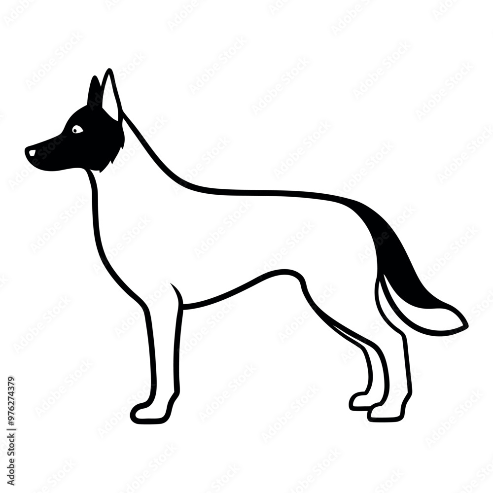 a German Shepherd dog. The dog is standing on all fours and is facing towards the left side of the image. It has a long, slender body with a pointed head and pointed ears a German Shepherd dog. The dog is standing on all fours and is facing towards the left side of the image. It has a long, slender body with a pointed head and pointed ears