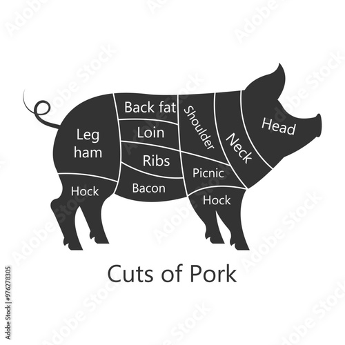 Pork butchery diagram. Cuts of Pork. Perfect for restaurant menus and educational materials. Vector Illustration