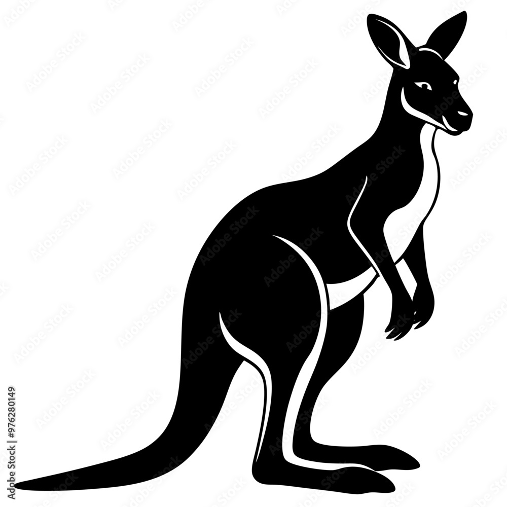 kangaroo with baby kangaroo with baby