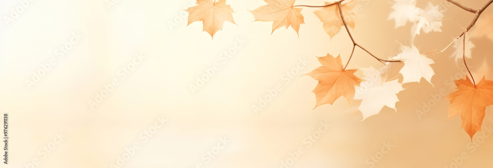 soft-focused autumn warm backdrop with autumn maple leaves. copy space, banner. soft-focused autumn warm backdrop with autumn maple leaves. copy space, banner.