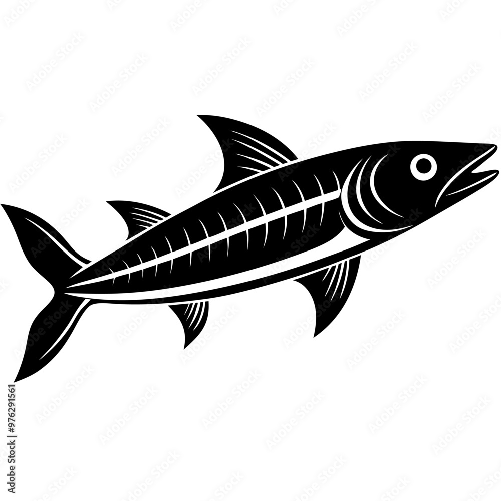 fish on a white background fish on a white background