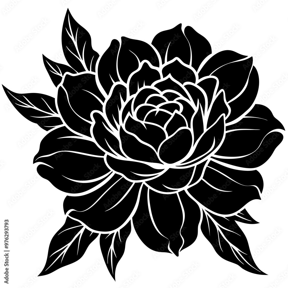 illustration of a flower illustration of a flower