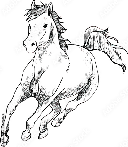 Hand drawn horse, sketch graphics monochrome illustration on white background photo