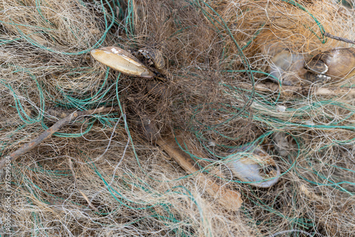 old tangled fishing net - environmental pollution photo