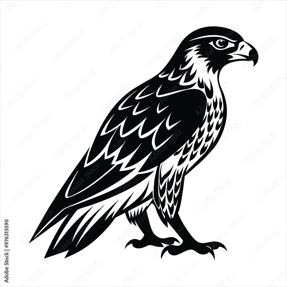 Obraz premium Hawk silhouette vector