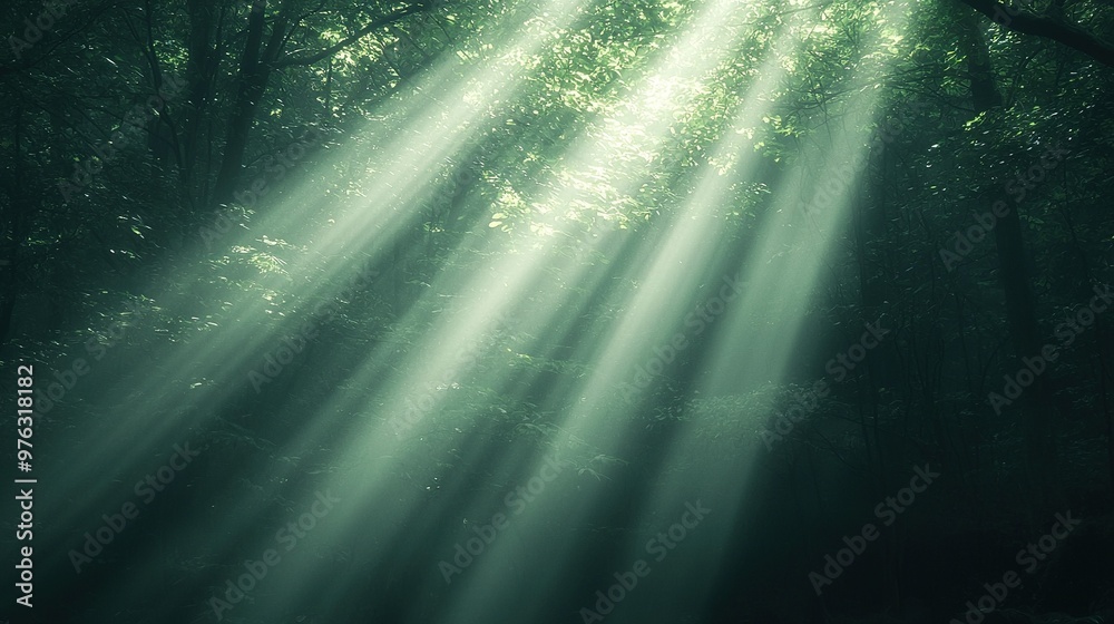 A lush forest brims with myriad trees, their verdant foliage scattering beams of radiant sunshine through the canopy A lush forest brims with myriad trees, their verdant foliage scattering beams of radiant sunshine through the canopy