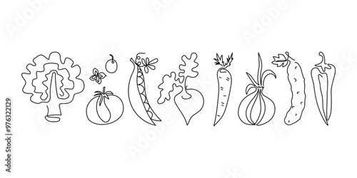 World Vegan Day. Food, set of vegetables drawn in one line. Vegetarianism. Local farmers market and diet food concept. Harvest. Vector illustration. Isolated background.