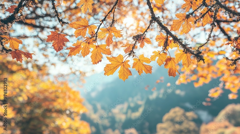 A leafy tree branch in focus against a distant mountain backdrop A leafy tree branch in focus against a distant mountain backdrop