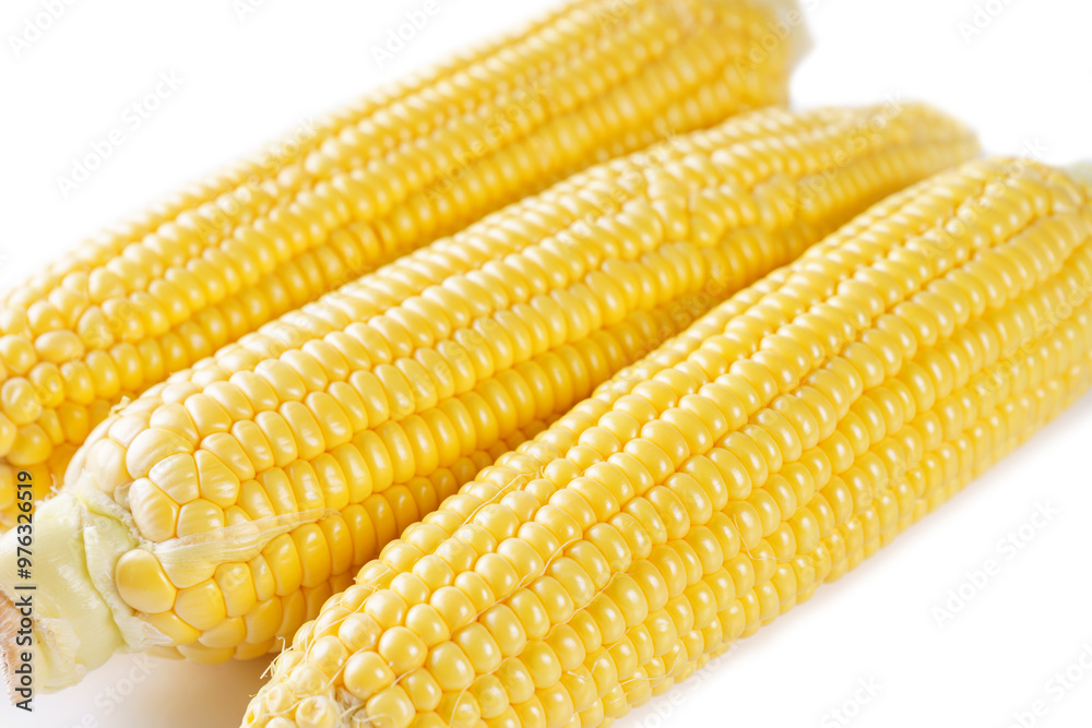 Fresh yellow sweet corn background, corncob with yellow and white grains close up. Fresh yellow sweet corn background, corncob with yellow and white grains close up.