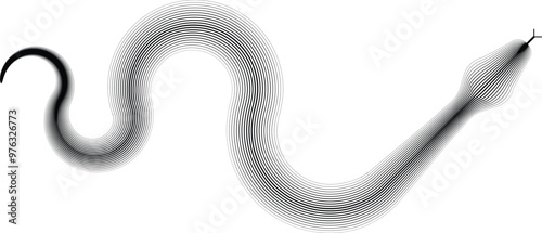 Chinese new year 2025 zodiac snake symbol .design elements . Year of the snake .World snake day. Line art . Vector illustration