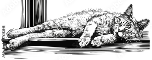 Cat sleeping on a windowsill sketch engraving vector illustration. Scratch board imitation. Black and white image. Vector