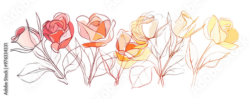 A row of flowers with different colors and sizes