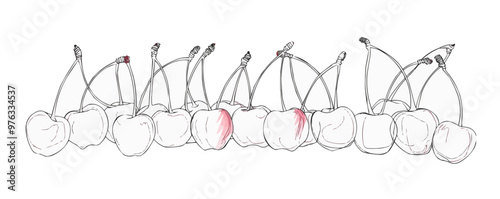 A line of cherries with one of them being red